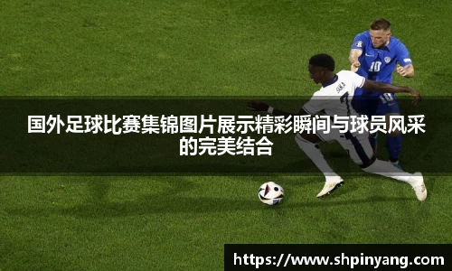 国外足球比赛集锦图片展示精彩瞬间与球员风采的完美结合