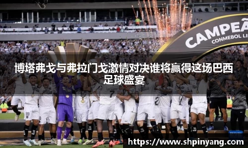博塔弗戈与弗拉门戈激情对决谁将赢得这场巴西足球盛宴