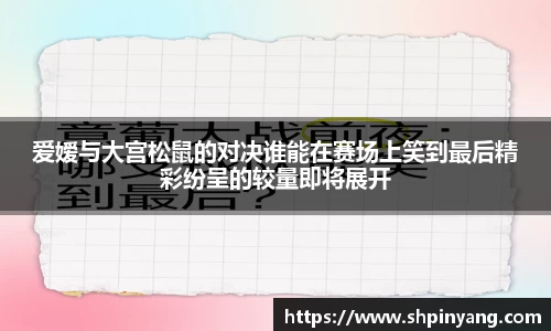 爱嫒与大宫松鼠的对决谁能在赛场上笑到最后精彩纷呈的较量即将展开