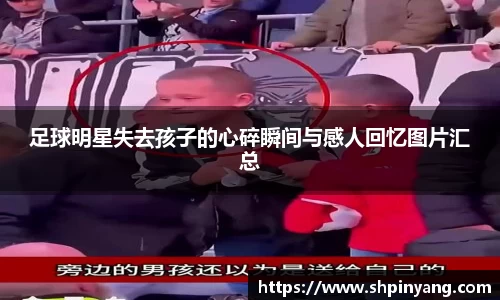 HB火博官方平台