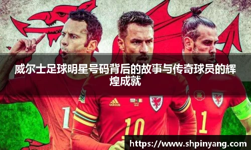 HB火博官方网站